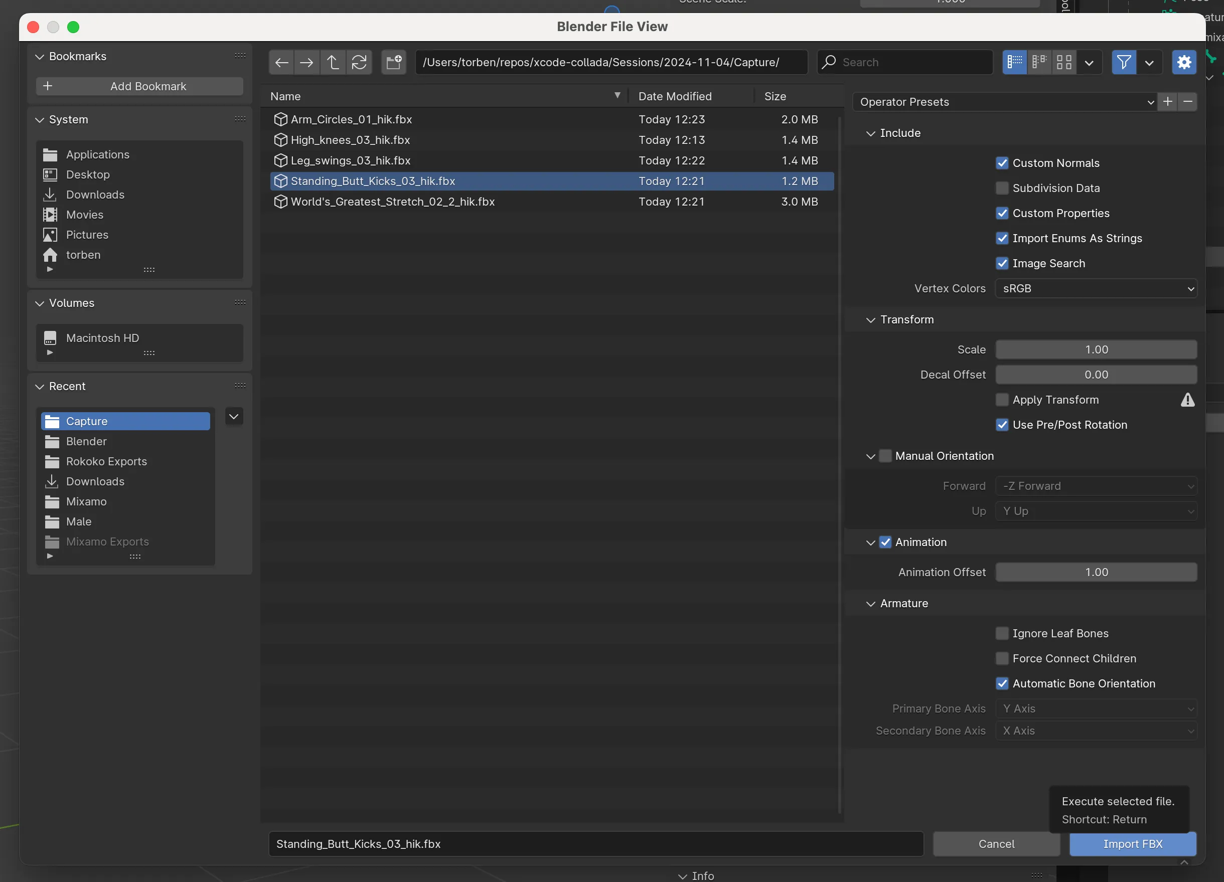 Blender FBX import options